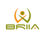 Briia.io logo